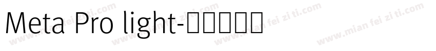Meta Pro light字体转换